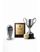 Награды и трофеи , значки и медали